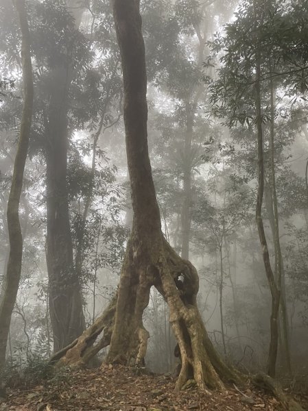 藤枝山&鳴海山2964421