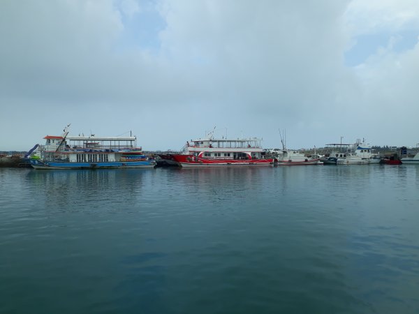 東海鳥嶼-潮間帶與海中道路2179429