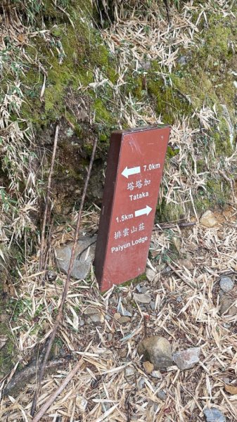 東埔-排雲-玉山西峰-玉山主峰2753228