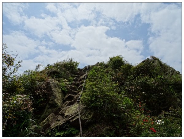 半平山步道(新北、瑞芳)2158608