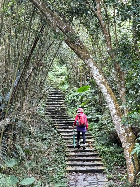 大山背山+騎龍山O繞2025.12.282979476