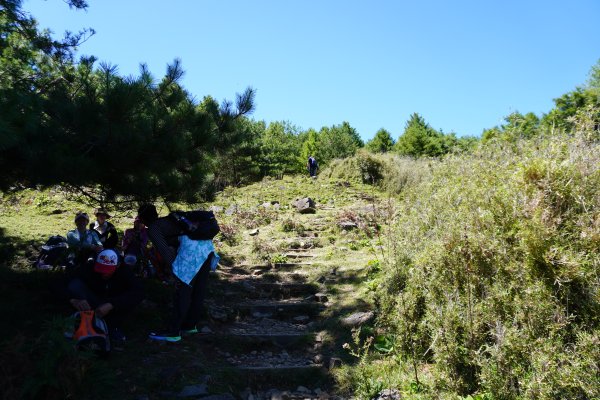 麟趾山一日遊3010200
