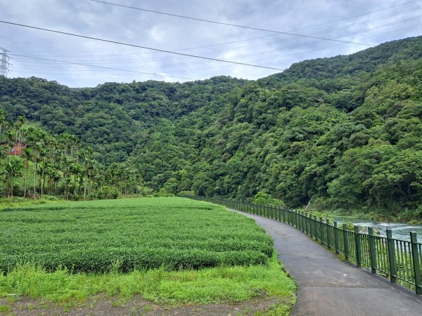 淡蘭南路第四段，第五段：魚逮魚堀溪自行車道至礁溪車站3104653