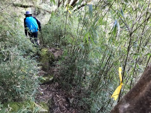 自忠上東水山連走特富野古道1244541