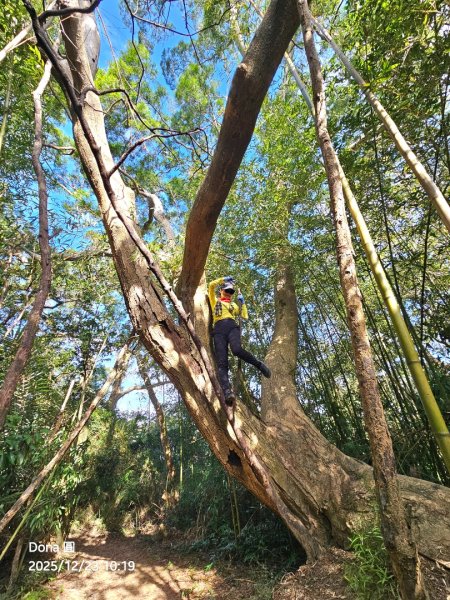 20251223芎林文林古道O走+雞寮坑山+芎林顯伯公野餐2975940