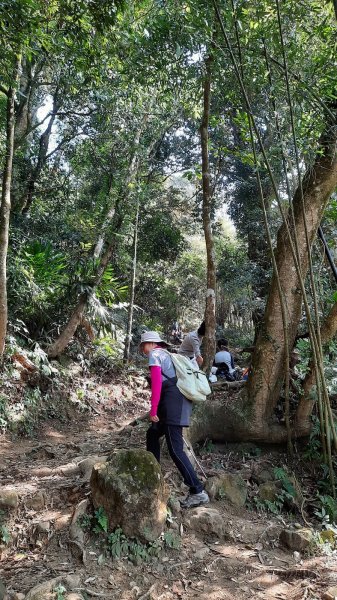 《苗栗》馬那邦山｜ 上湖線＞天然湖O巡202102201277321