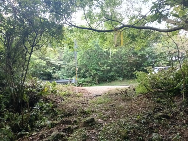 雙溪區豹子廚越嶺保甲路+北豹子廚山+中坑東山稜線O型2880077