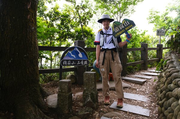 大坑四號步道_頭嵙山3079491