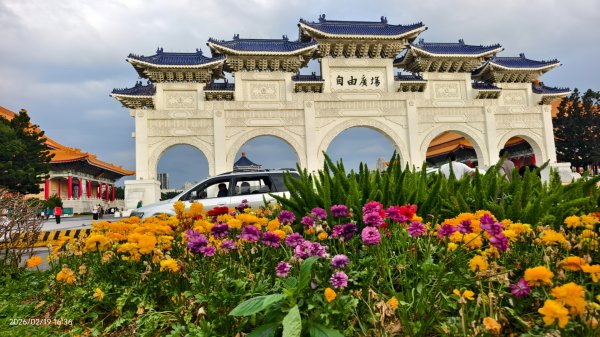 #虎山  #101大樓  #國父紀念館 #河津櫻 #中正紀念堂 2/193002655