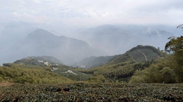 雲嘉五連峰 (大尖山、二尖山、馬鞍山、梨子腳山、太平山)2991070