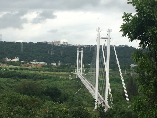 中庄調節池、娘子坑山、山豬湖自然生態公園、中庄吊橋2493110