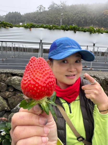 小百岳馬那邦山(H1407m)加碼採草莓2694723
