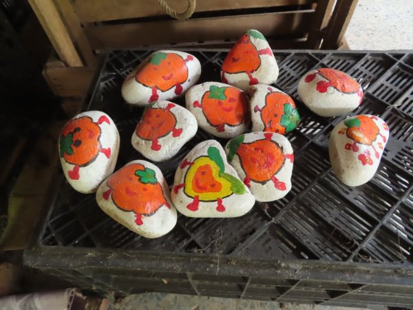 旱溪源頭自然生態區2878027