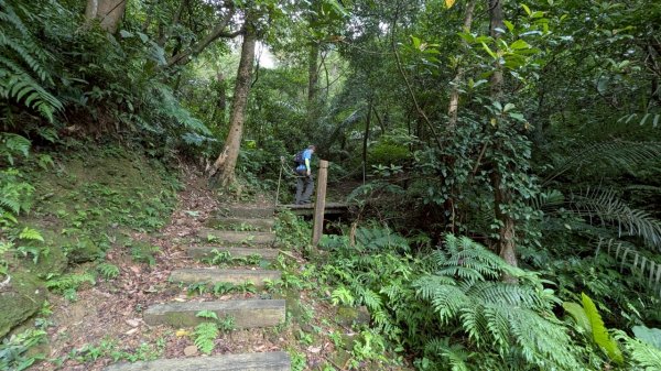 114.06.07過港山-四腳亭砲台-深澳坑砲台山之旅2806573