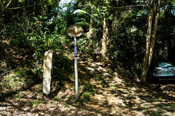 大崗山步道｜小百岳2812775