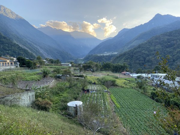 2020-11-28.29 東埔上郡大山下開高山1559142