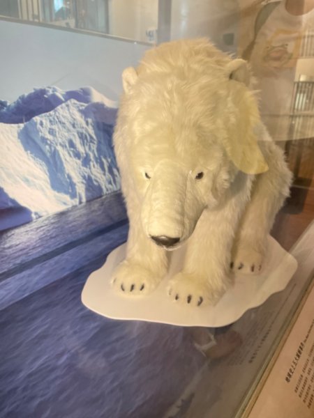 雨天備案💙 台灣博物館的古生代館-台大動植物館免費參觀-北投♨️季2799022