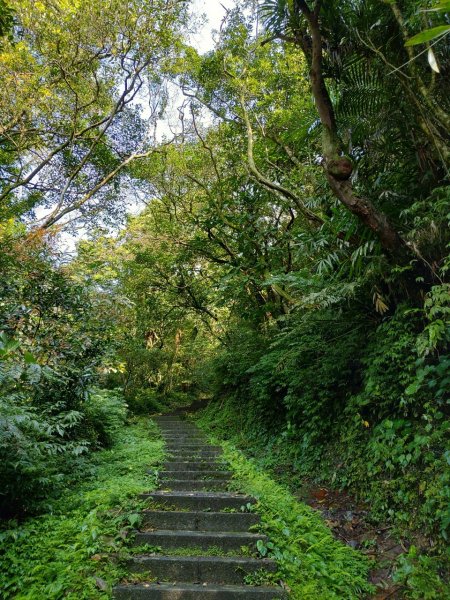 台灣萬里長城－五分山步道934054