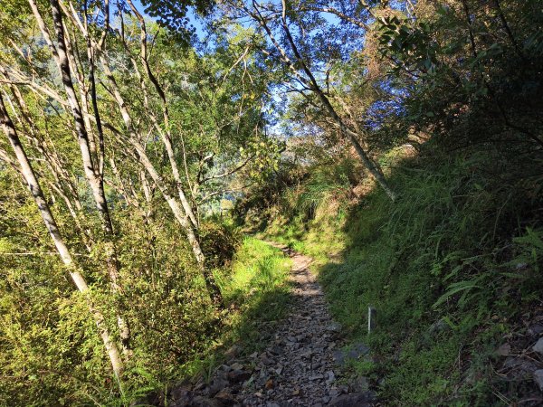 [玉山尋寶任務-07/12] 2025_0824 八通關雲龍瀑布步道2870608