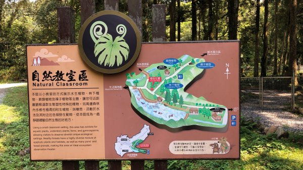 2019.04.07福山植物園1007082
