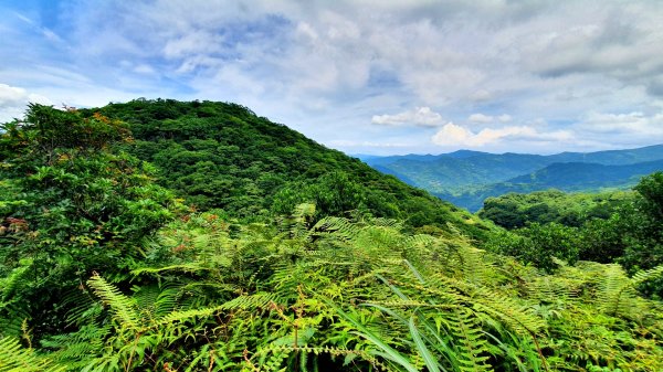 北投大砲岩，石壇山，三芝大屯溪古道，三板橋，三峽白雞山，雞罩山，石門內尖山，中和外員山，中坑山東北峰1738153