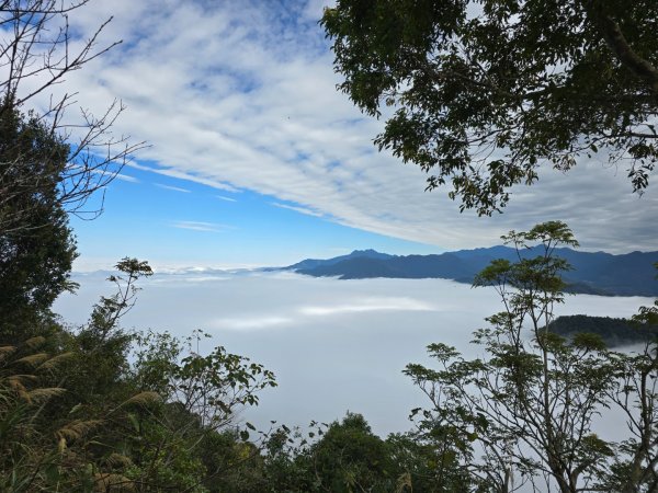 馬那邦山之雲海／雲瀑／楓紅／太陽琉璃光2668264