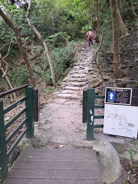 砂卡礑二日行D2：大同部落→千里眼山→砂卡礑步道→小錐麓步道→遊客中心202312032368744