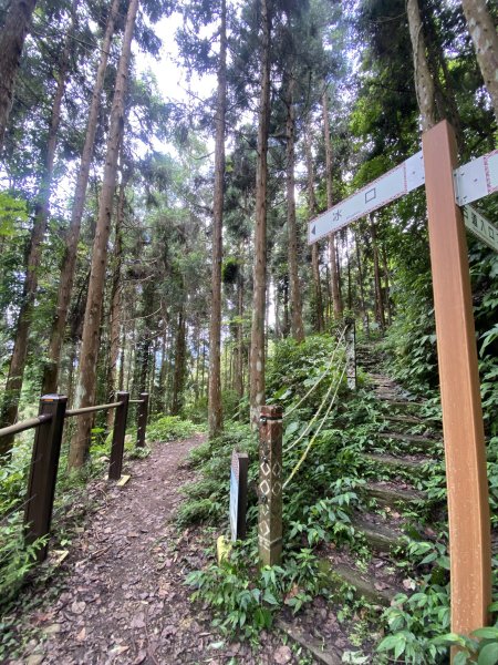 20250705-Ep.02白蘭溪古道-2025森遊竹縣皮皮獅探險隊