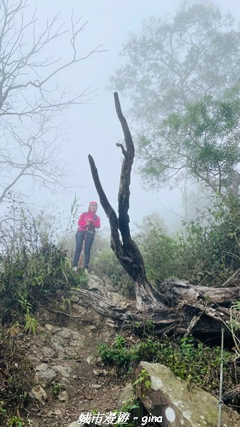 【台南。 南化】迷霧山徑。 小百岳集起來。 編號70小百岳~刣牛湖山登山步道1610484