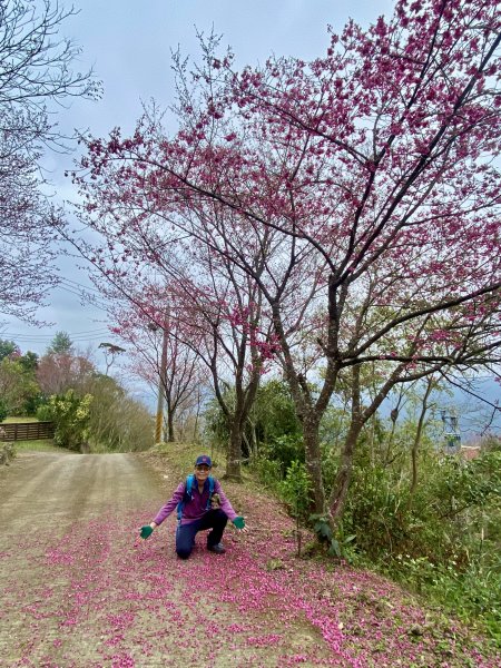 坐公車接駁的神仙縱走2707442