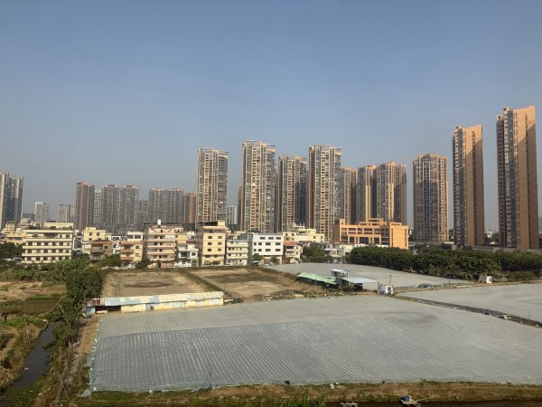 [茂名馬之行-10] 2026_0119 深圳北站2996567