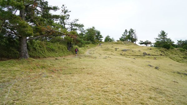 20180420鹿林山 麟趾山1495692