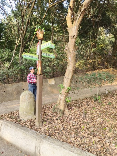 東勢林場森林浴場步道3019108