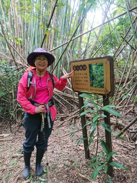 璀璨百年淡蘭古道～象寮古道、石空山、坪溪古道、梗枋古道O走1339470