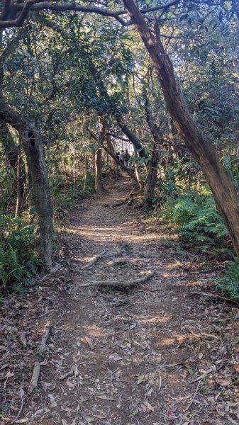 更寮古道 土庫岳 土庫岳東峰 山豬窟尖2056820