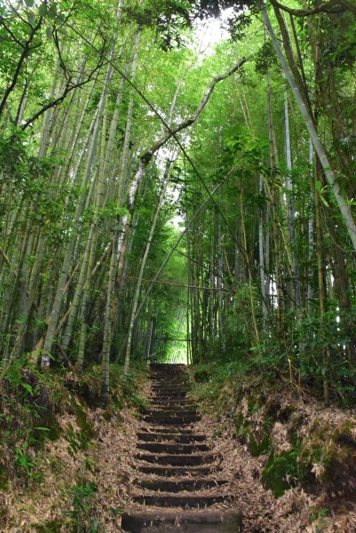 20260805阿里山石棹大凍山攀登3097060