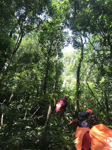 哈盆古道-波露南山-波露山O型走1475875