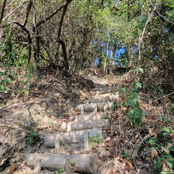 烏山嶺水利古道2359140