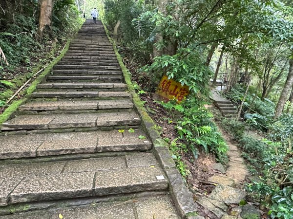 細雨中遠眺101登南港山2043819