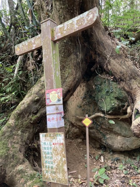 【苗栗-臺灣百大必訪步道】鳴鳳古道1348361