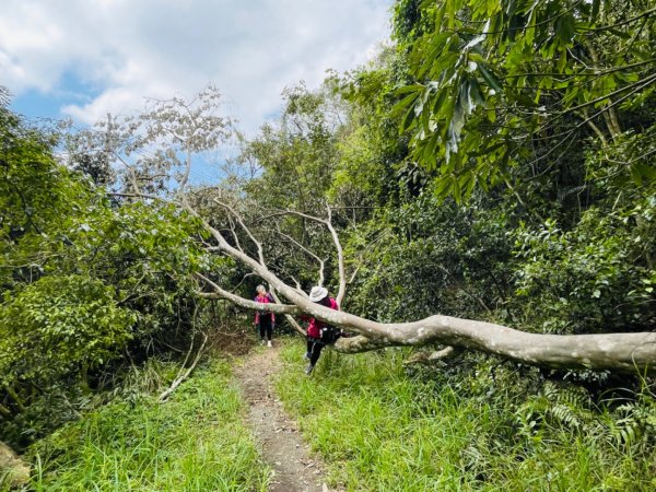 1140319仙山-仙山南峰2738267