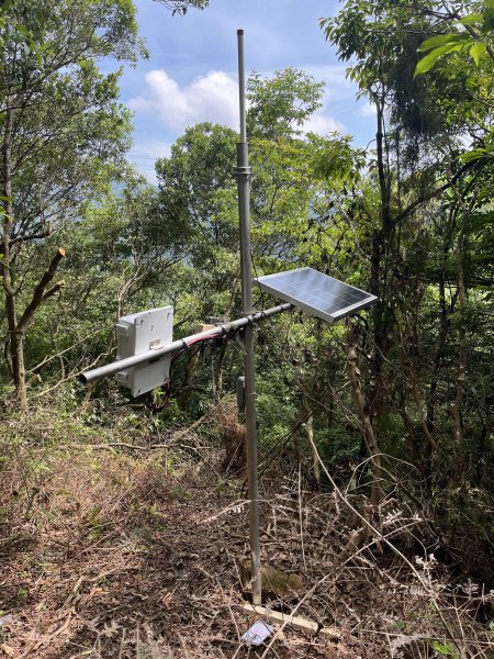 2025_0601 北插天山2802331