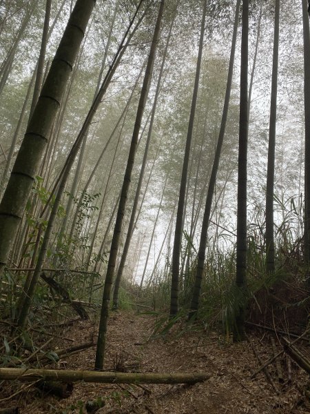 20251220嘉義凸龜山-芙蓉山-天福山2973843