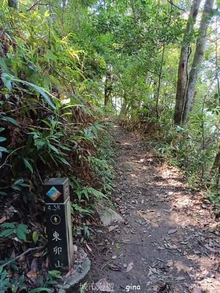 【台中和平】台灣百大必訪步道~谷關七雄-東卯山步道2302469