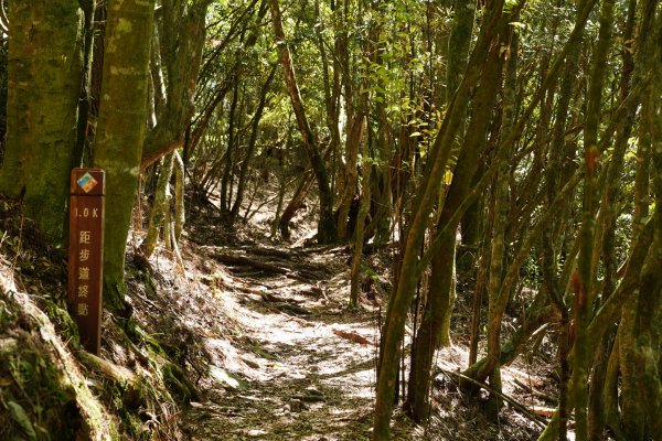 台中 和平 馬崙山2796966