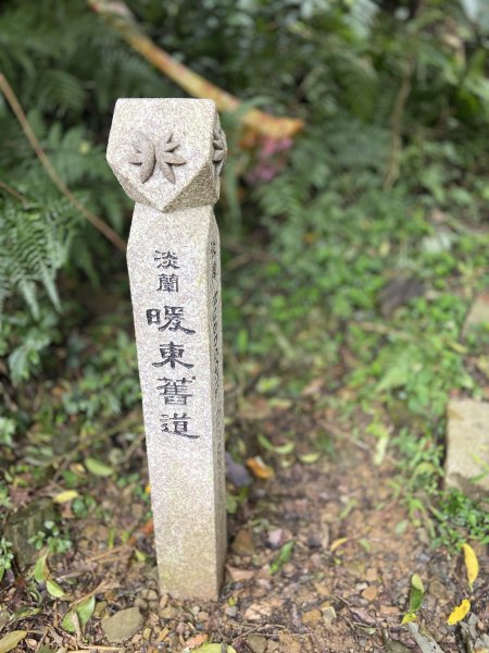 暖東峽谷到十分老街|Nuandong Valley |淡蘭古道|中路第一段|峯花雪月2578850