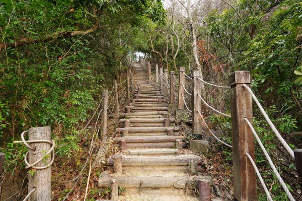 臺中 潭子 林牛山、聚興山、大胡山2474467