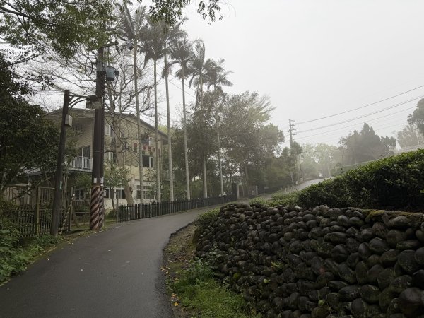 [樟之細路_第一大段RSA06] 2026_0329 打牛崎古道3027153