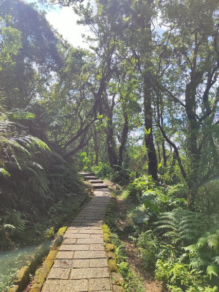 臺北大縱走第六段：中華科技大學至捷運麟光站2790268