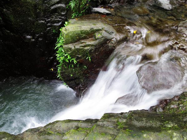 【宜蘭礁溪】清涼一夏：林美石磐步道389898